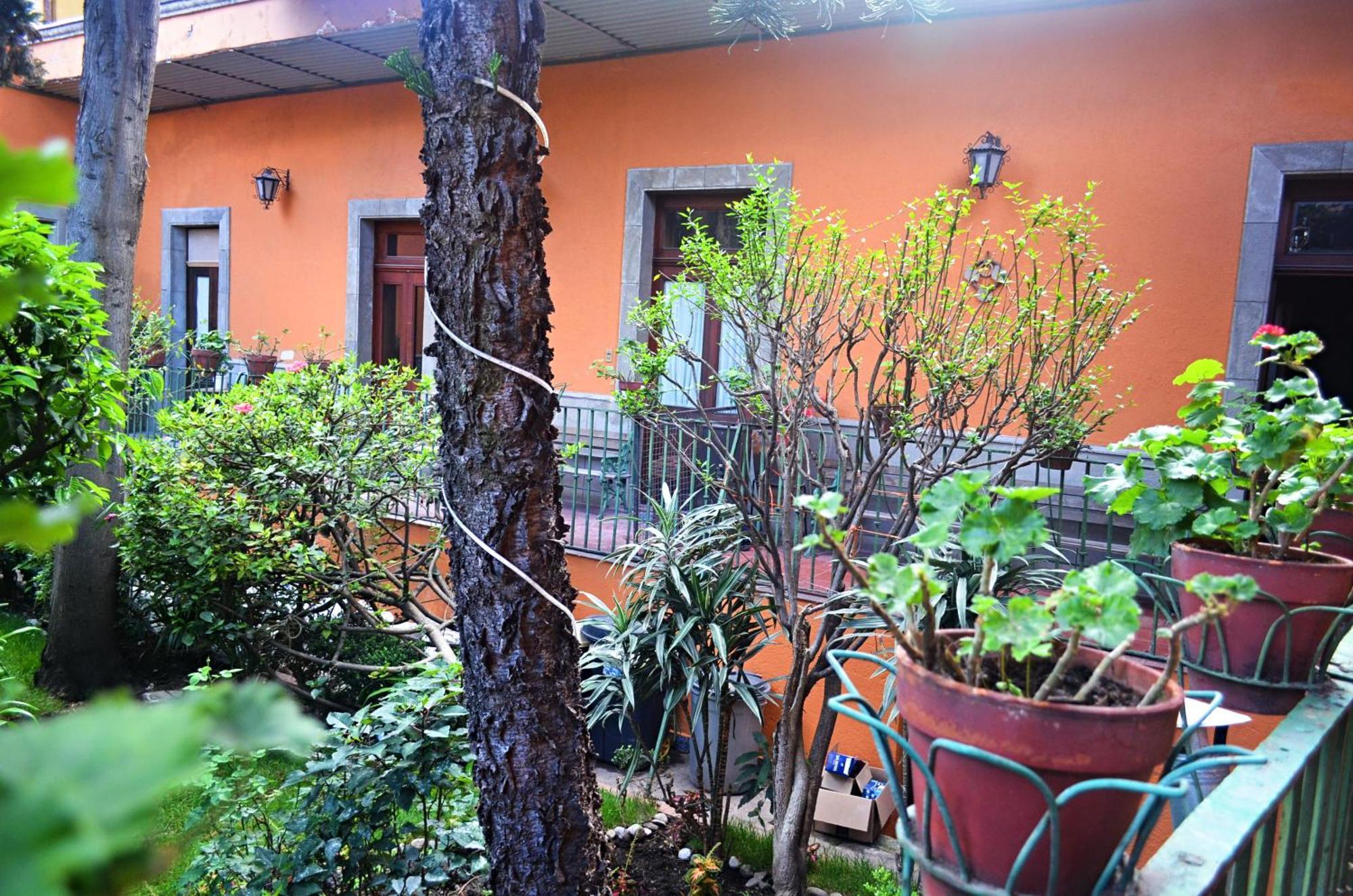 Hacienda Gobernadores Mexico City Ngoại thất bức ảnh