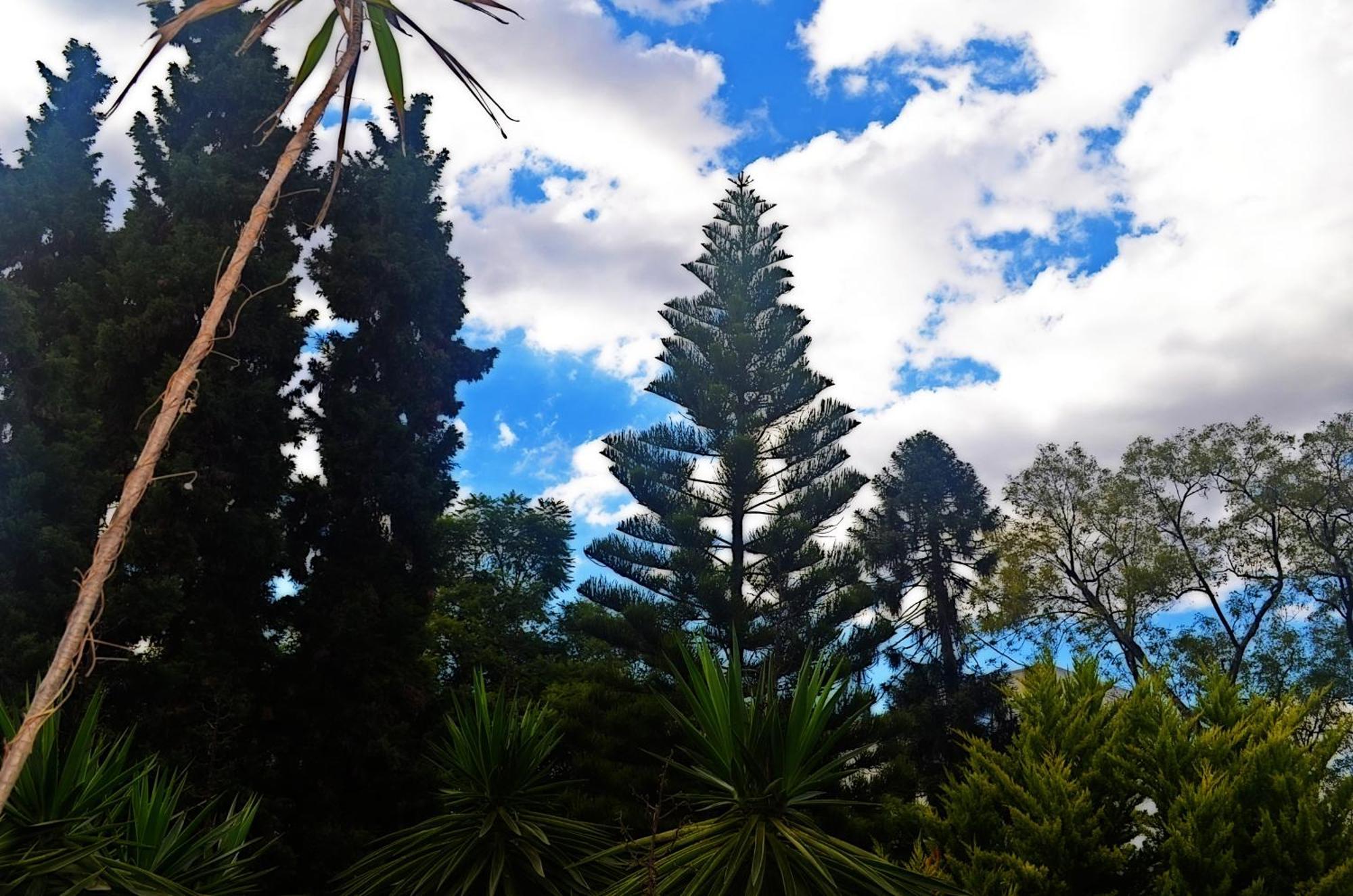 Hacienda Gobernadores Mexico City Ngoại thất bức ảnh