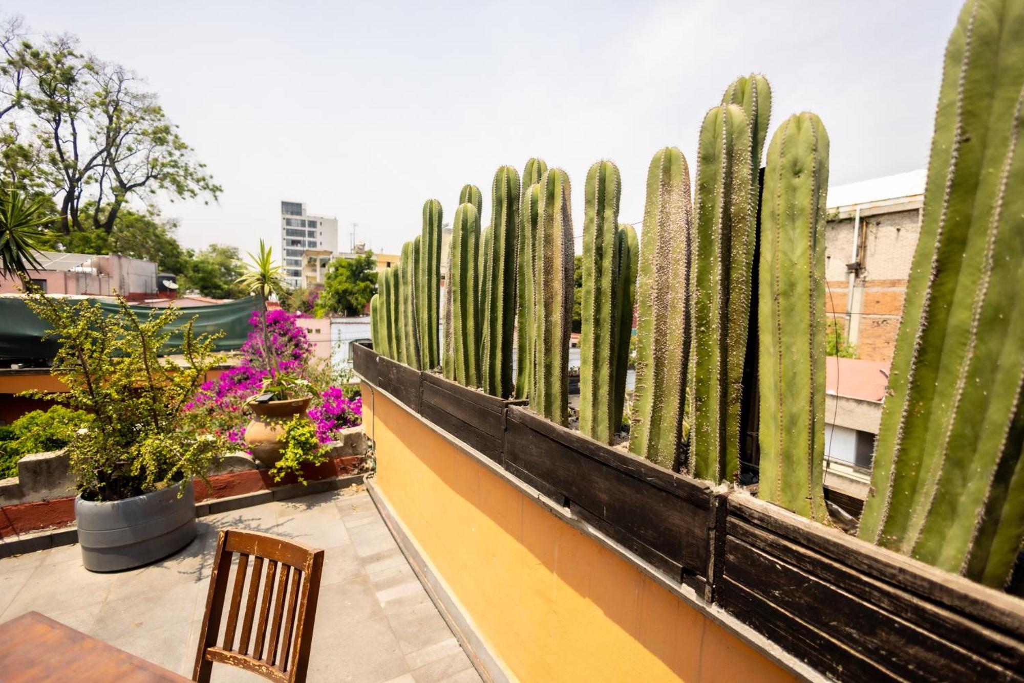Hacienda Gobernadores Mexico City Ngoại thất bức ảnh