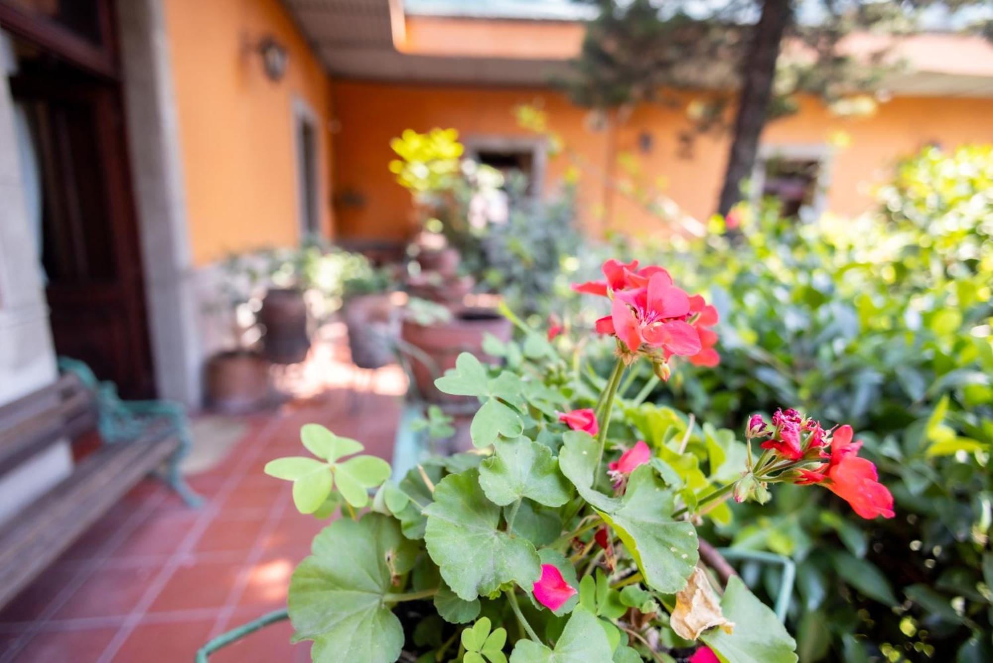 Hacienda Gobernadores Mexico City Ngoại thất bức ảnh